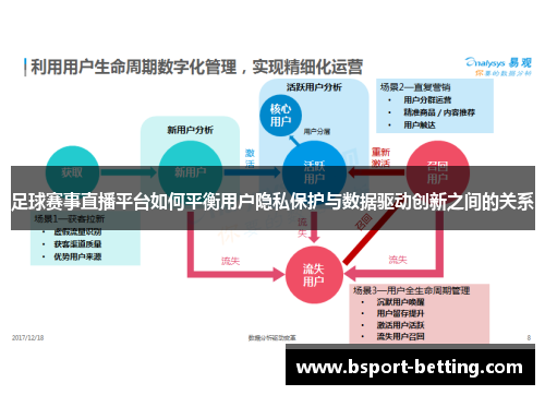 足球赛事直播平台如何平衡用户隐私保护与数据驱动创新之间的关系